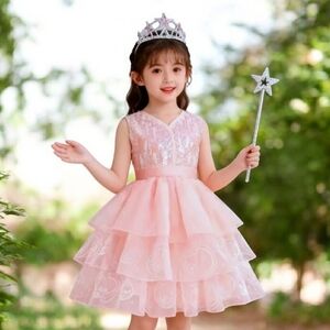 Pink Layered Princess Dress Includes Tiara, Wand & Jewelry.